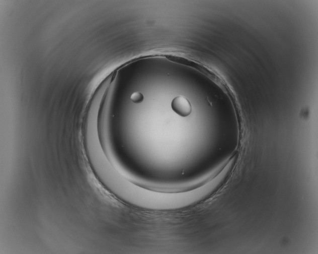 X0000111640952200907311248