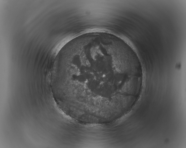 X0000111640953200907311248