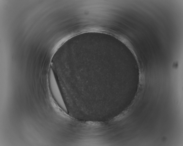 X0000111640954200907311249