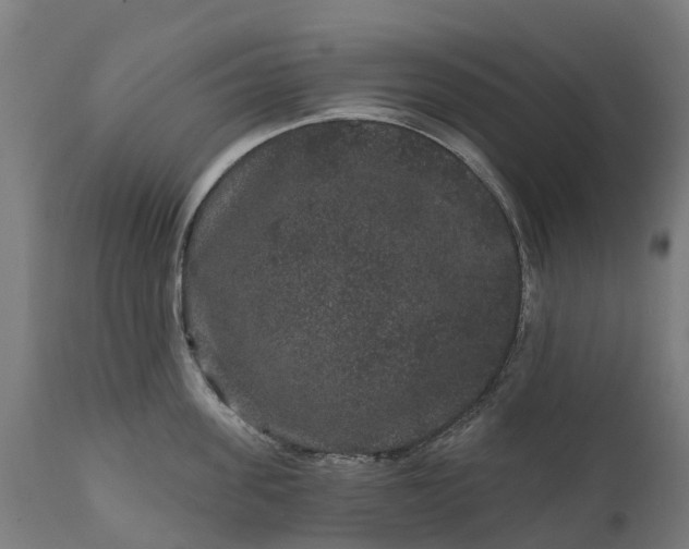 X0000111640955200907311249