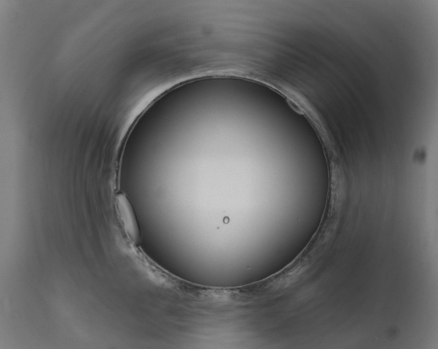 X0000111640956200907311249