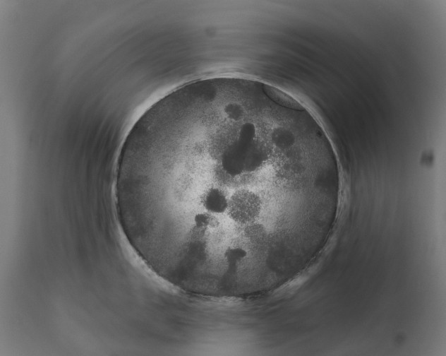 X0000111640957200907311249