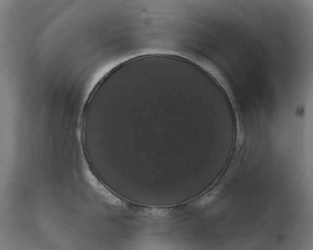 X0000111640958200907311249