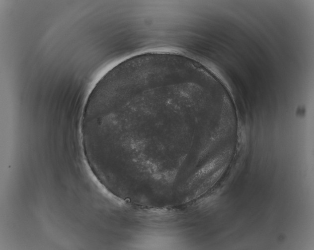 X0000111640959200907311249