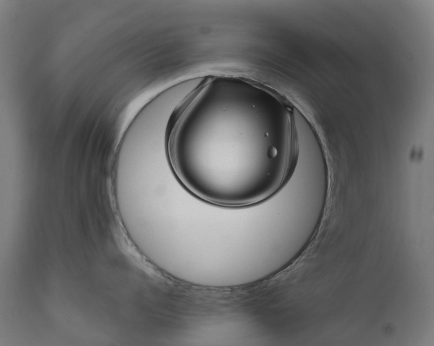 X0000111640960200907311249