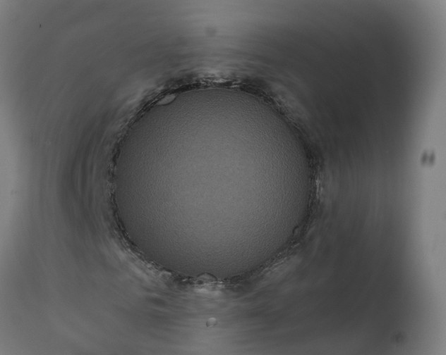 X0000111640961200907311248