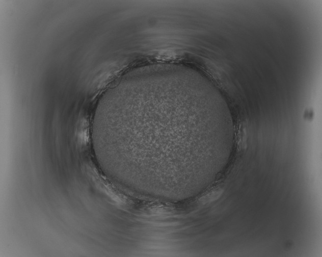 X0000111640962200907311248