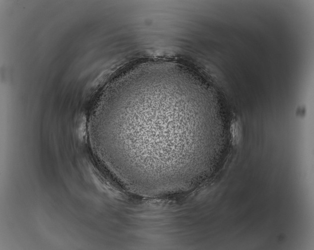 X0000111640963200907311248