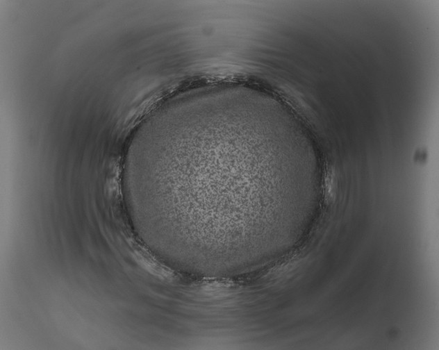 X0000111640964200907311248