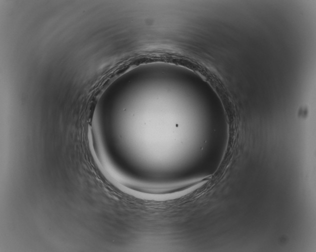 X0000111640965200907311248