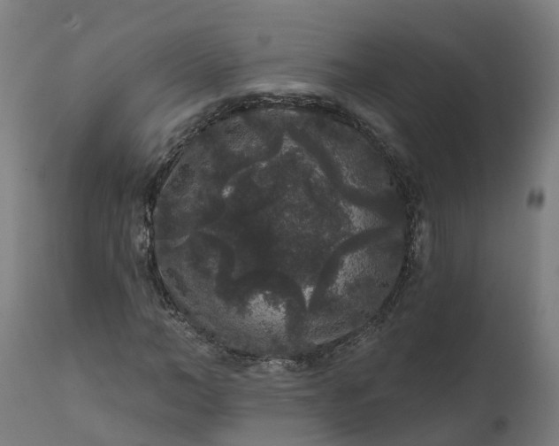 X0000111640966200907311248