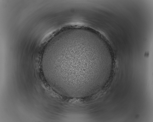 X0000111640967200907311248