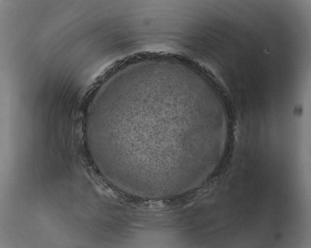 X0000111640968200907311248