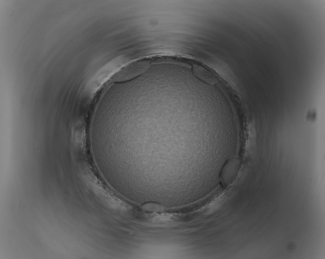 X0000111640969200907311248