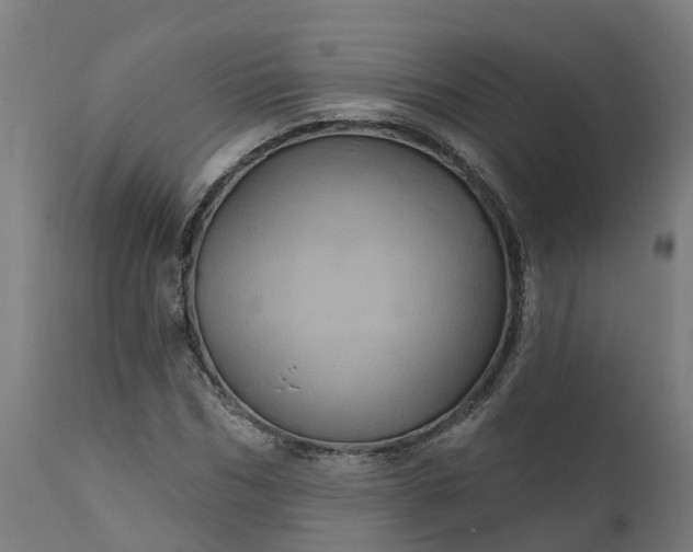 X0000111640970200907311248