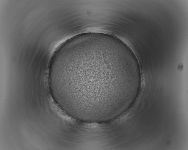 X0000111640971200907311248