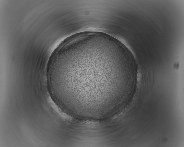 X0000111640972200907311248