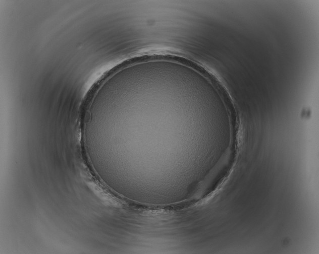 X0000111640973200907311248