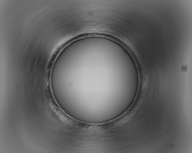 X0000111640974200907311248