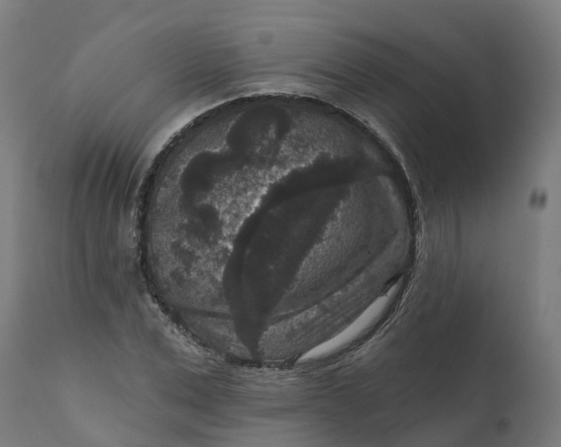 X0000111640975200907311248