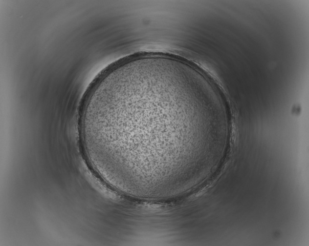 X0000111640976200907311248