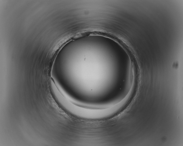 X0000111640977200907311248