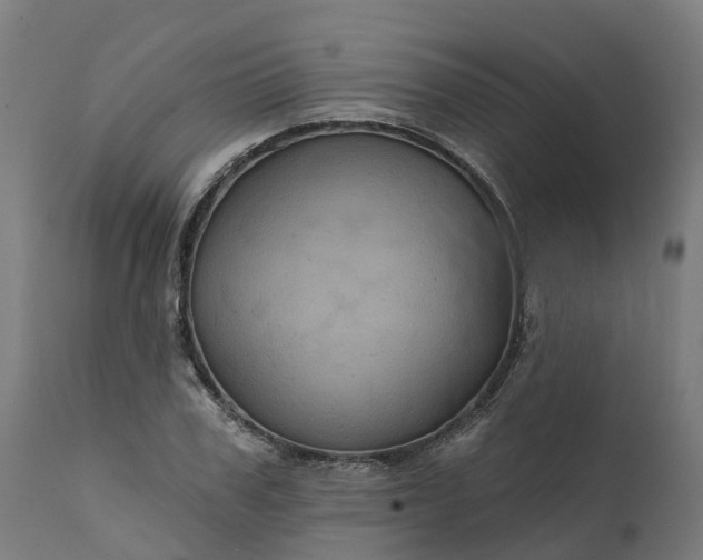 X0000111640979200907311248