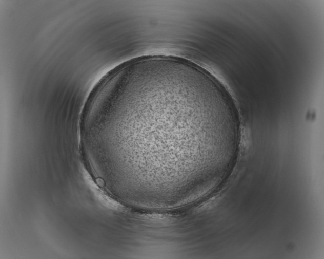 X0000111640980200907311248