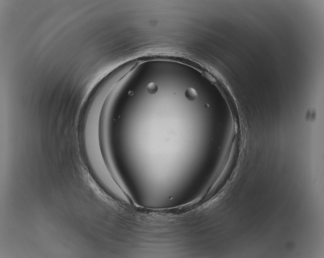 X0000111640981200907311247