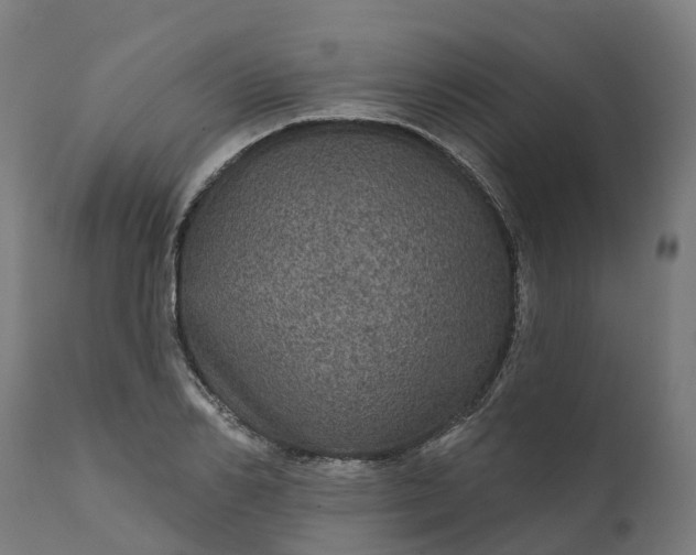 X0000111640982200907311247