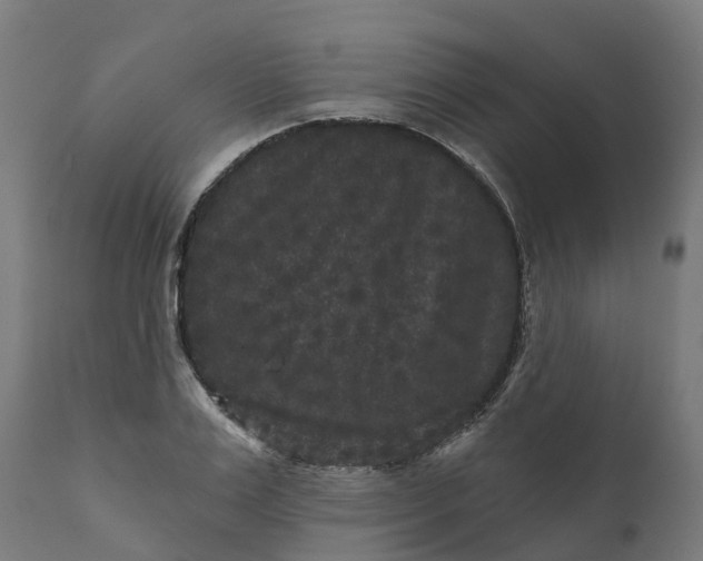 X0000111640983200907311247