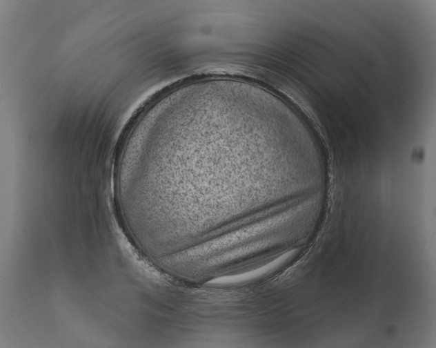 X0000111640984200907311247