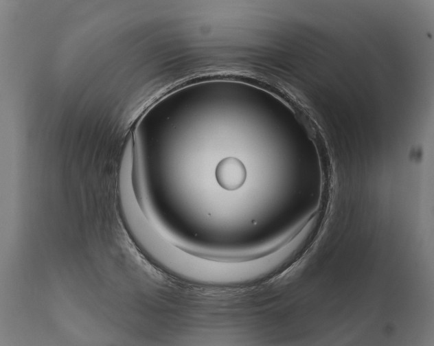 X0000111640985200907311247