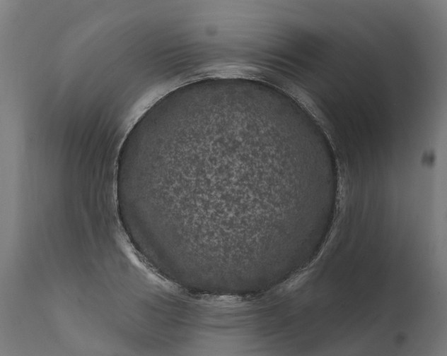 X0000111640986200907311247