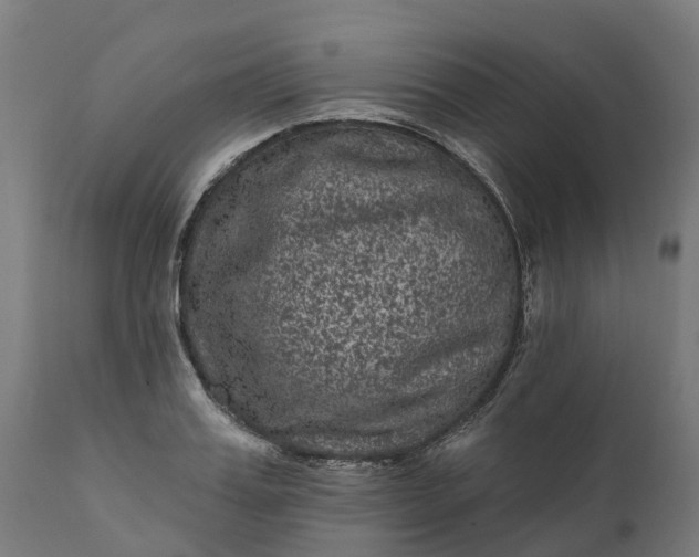 X0000111640987200907311247