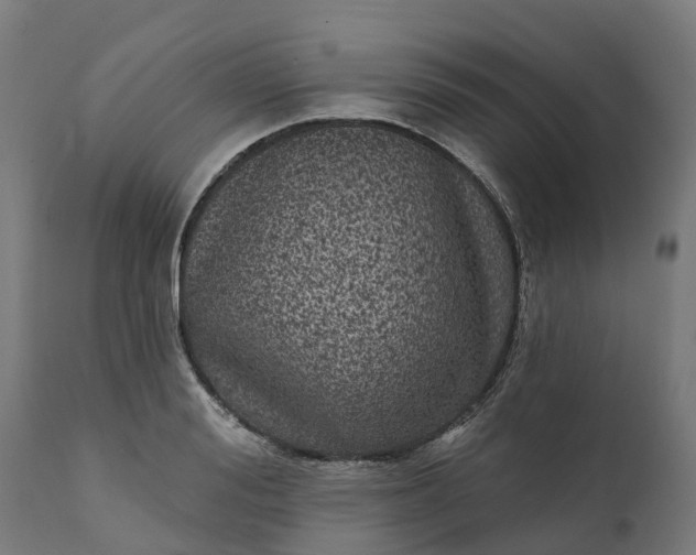 X0000111640988200907311247