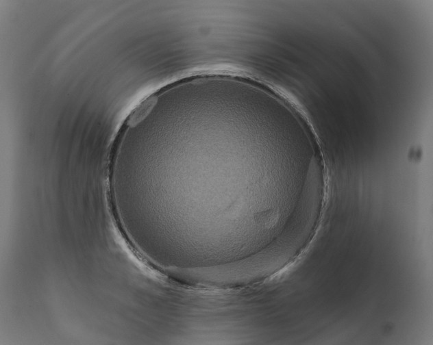 X0000111640989200907311247