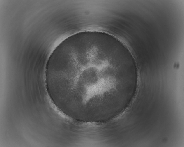 X0000111640990200907311247