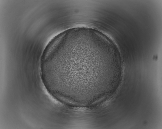 X0000111640991200907311247