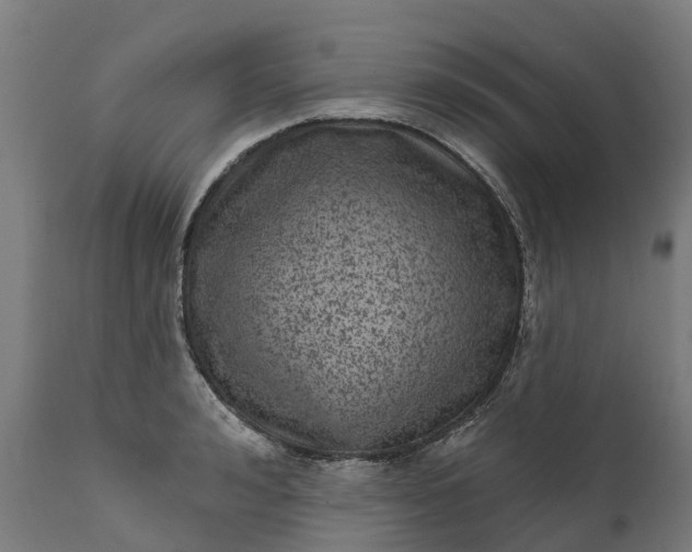 X0000111640992200907311247