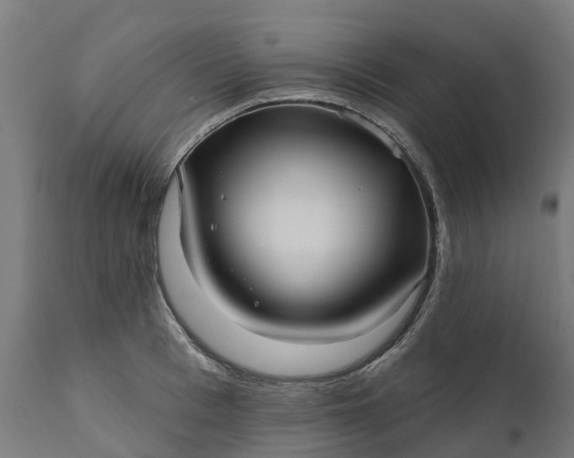 X0000111640993200907311247