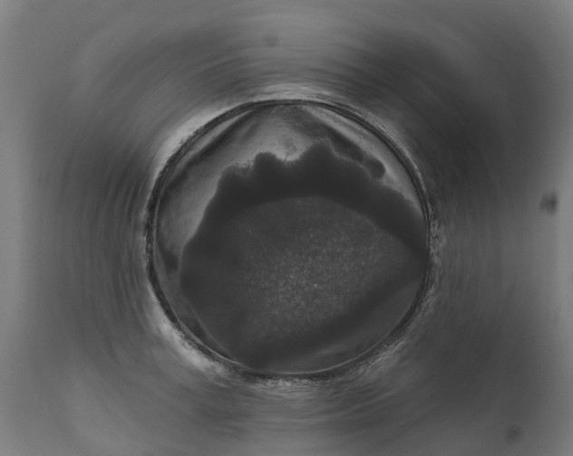 X0000111640995200907311247