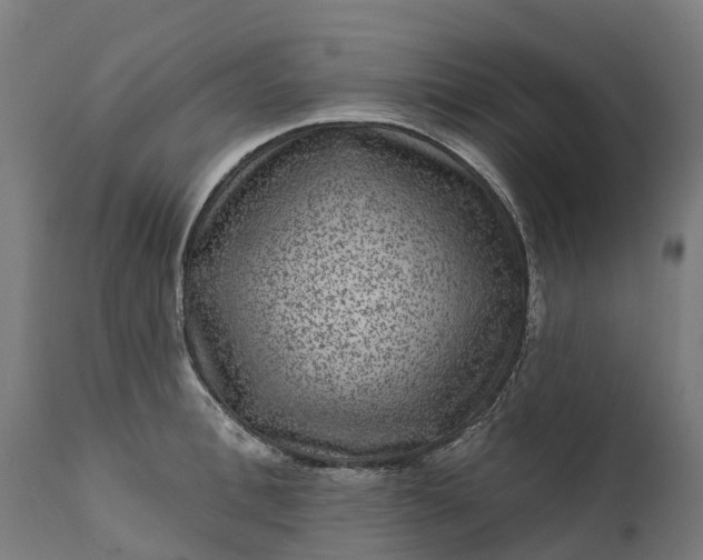 X0000111640996200907311247