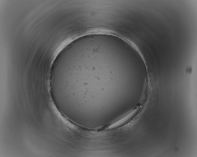 X0000111640997200907311247