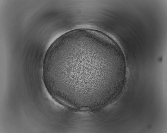 X0000111640999200907311247