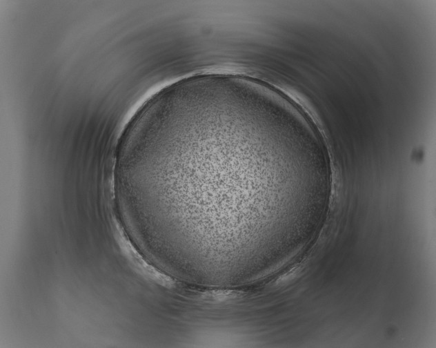 X0000111641000200907311247