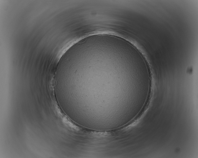 X0000111641001200907311247