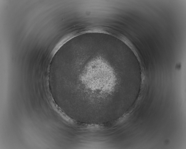 X0000111641002200907311247