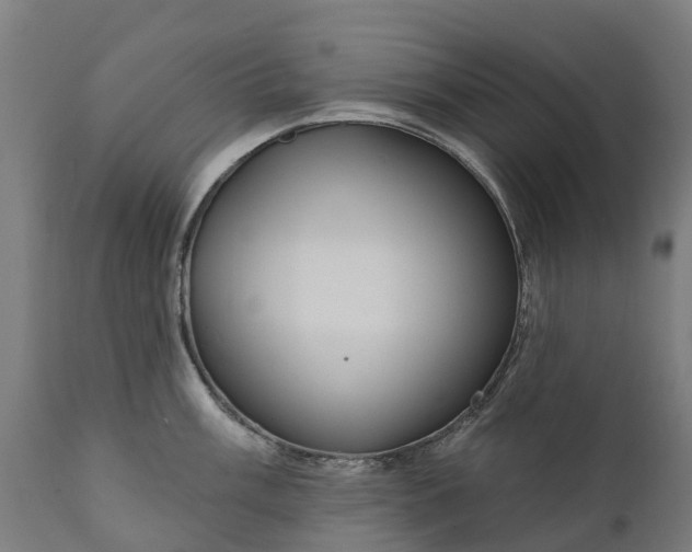 X0000111641003200907311247