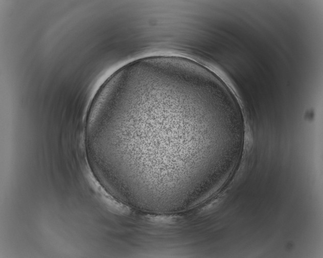 X0000111641004200907311247